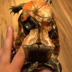 ernstig misvormde gevonden schildpad