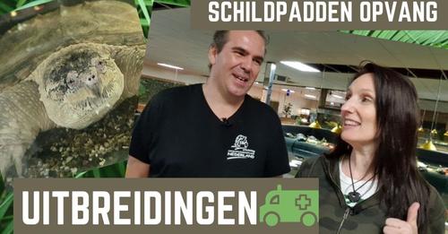 Nieuwe Vlog van de opvang