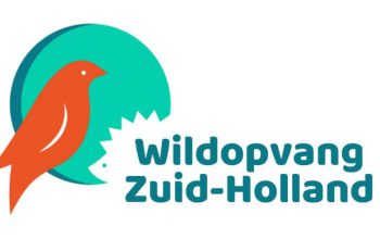 logo-wildo0pvang-zuid-holland