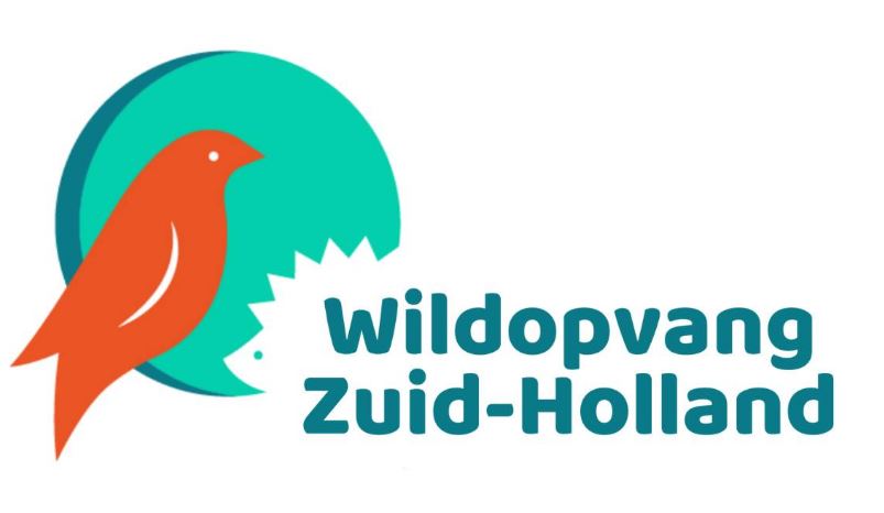 Mooie samenwerking met Wildopvang Zuid-Holland