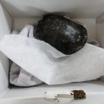 Doodzieke schildpad per post