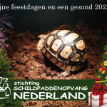 fijne-feestdagen-2022