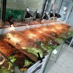 IC Quarantaineruimte voor Schildpadden gerealiseerd door Dierenlot. 