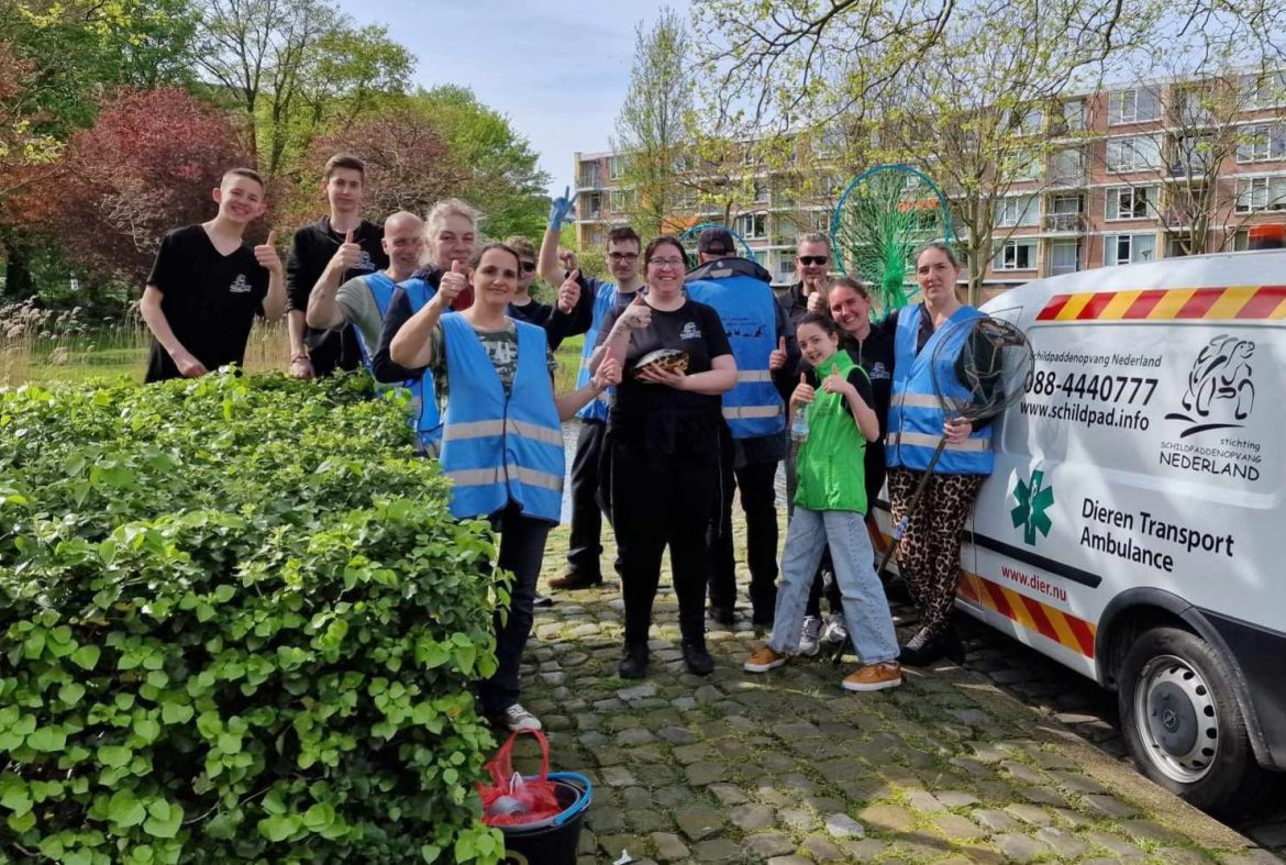 Vangactie verzwakte (gedumpte) schildpadden