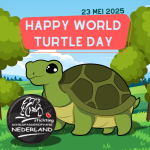 Fijne Wereld Schildpaddendag iedereen 🐢🥳❤