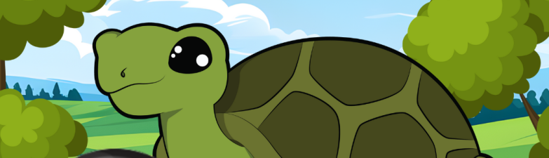 Fijne Wereld Schildpaddendag iedereen 🐢🥳❤