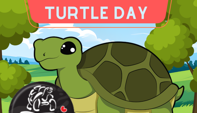 Fijne Wereld Schildpaddendag iedereen 🐢🥳❤