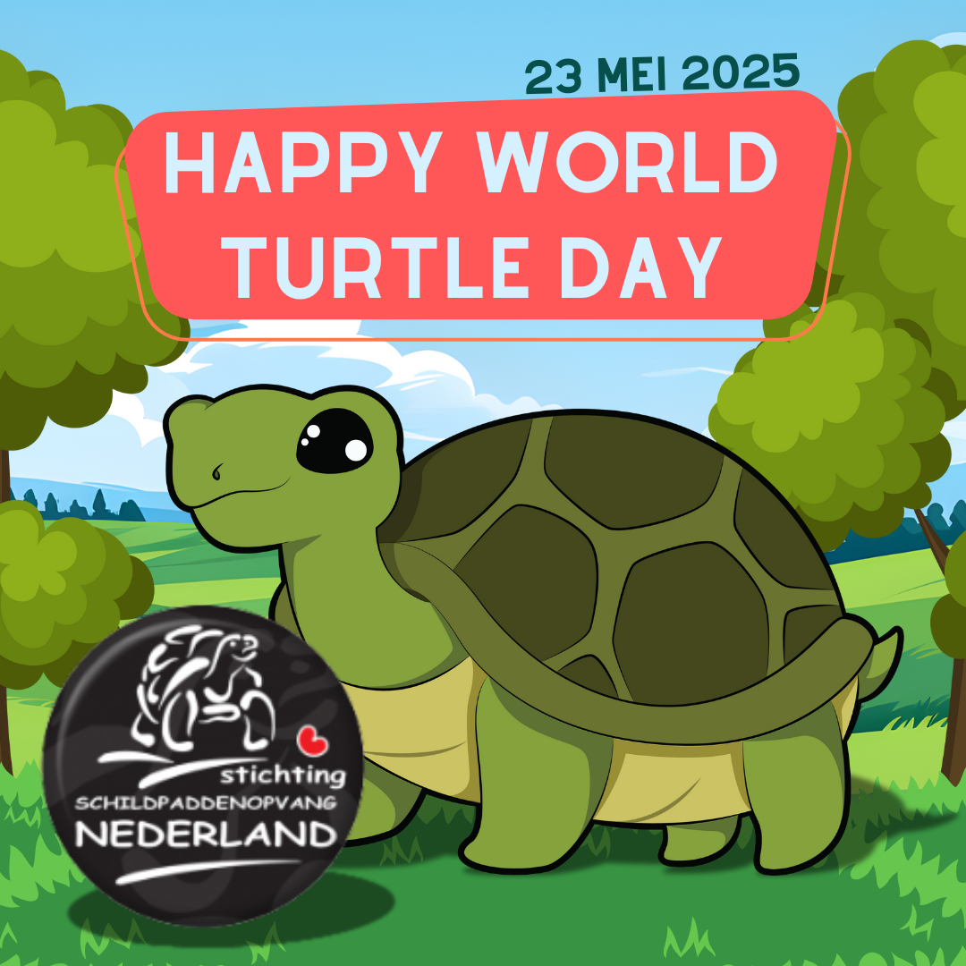 Fijne Wereld Schildpaddendag iedereen 🐢🥳❤