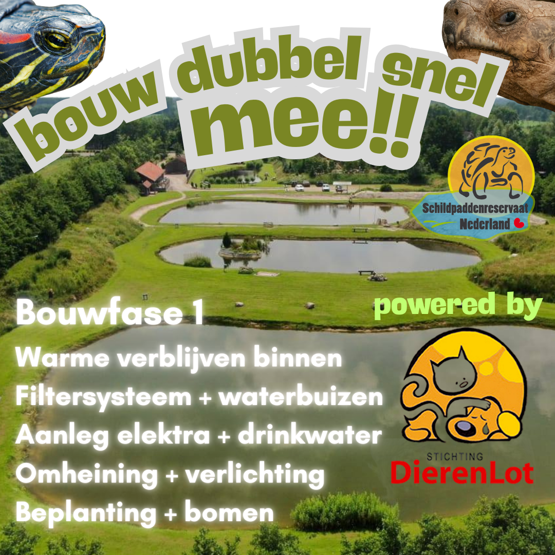 Help DUBBEL mee met het eerste schildpaddenreservaat van Nederland!