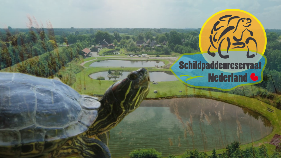 Niet geloven maar het schildpaddenreservaat gaat door!!