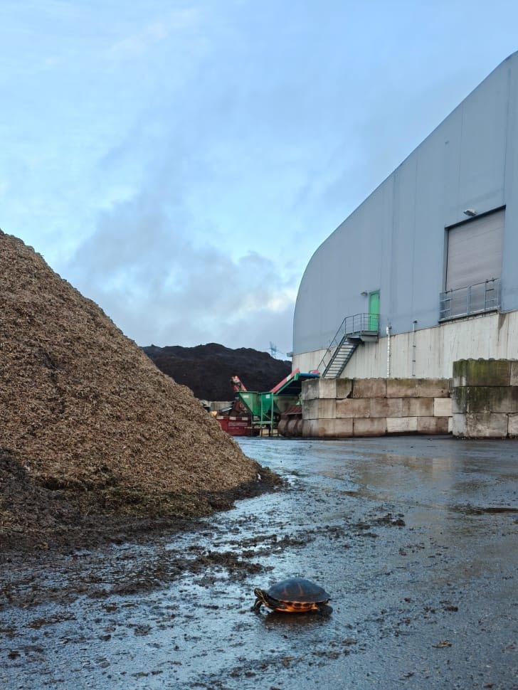 Met verbazing gevonden op de stortplaats… het moet niet gekker worden!