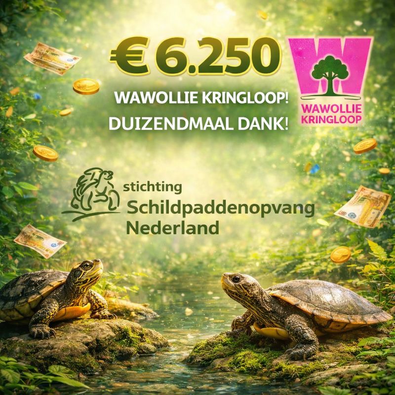 Een hartverwarmende verrassing op Nieuwjaarsdag!